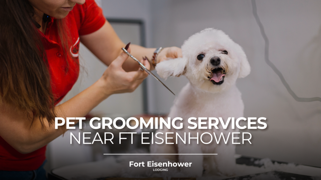 pet grooming services near ft eisenhower